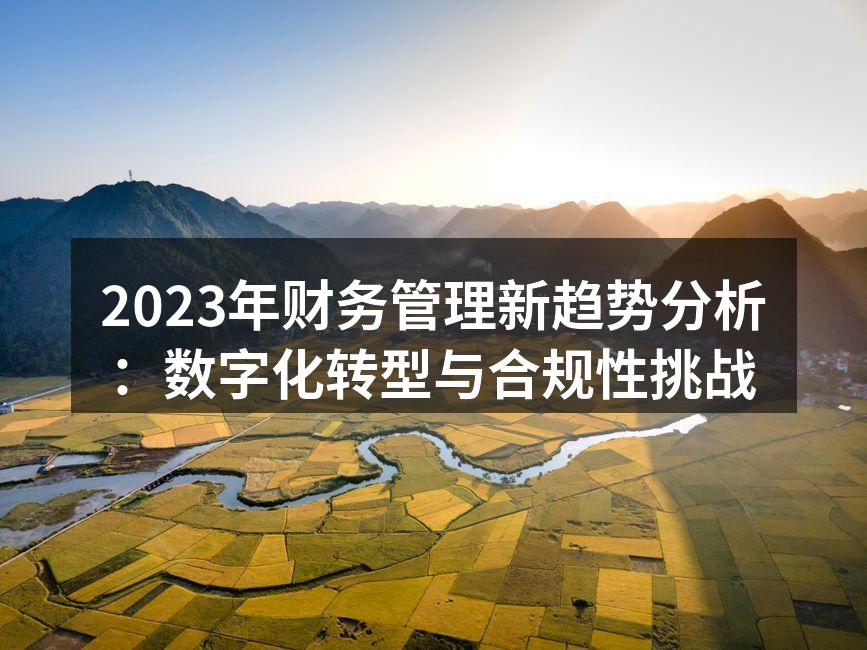 2023年财务管理新趋势分析：数字化转型
